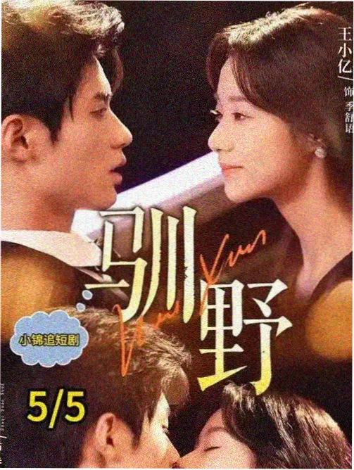 资讯配图：合规声明模板与印章
